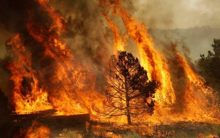 Incendio forestal entre Guerrero y Bocoyna ya se extiende a otras comunidades, no hay brigadistas suficientes
