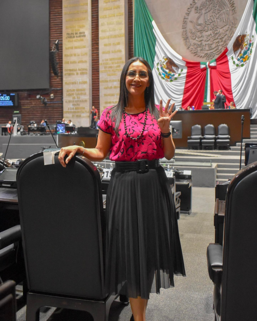 Diputada Federal Laura Imelda Pérez Segura